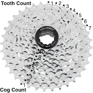 tooth+cogcount-300.png