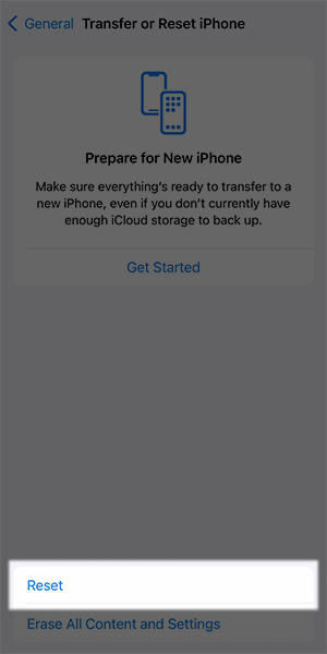 ios-settings-general-reset-resetselected-300.png