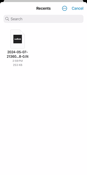 wad-history-upload-openfile-300.png