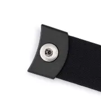 tickrv2strapend-200.png