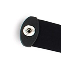 tickrv1strapend-200.png