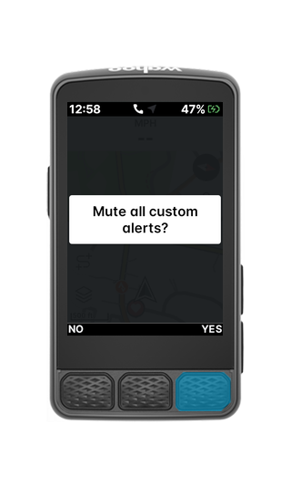 r3-customalerts-muteconfirm-r320.png