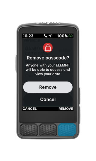 r3-removepasscode1-confirm-r320.png